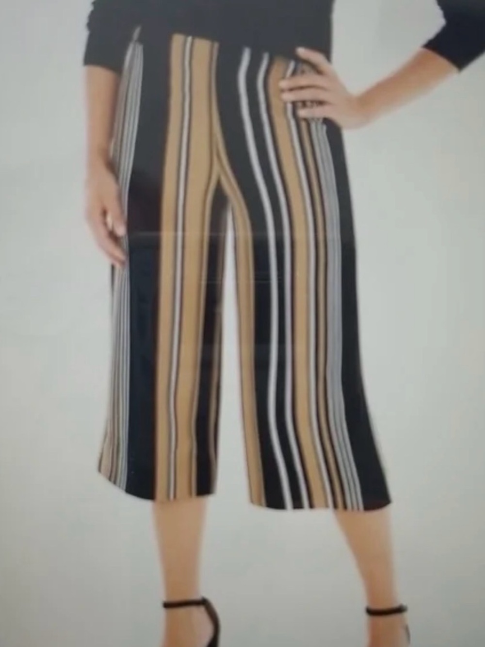 Chicos Dixie Black and Tan Striped Wide-Leg Cropped Pants 2.5  (Xl/14)